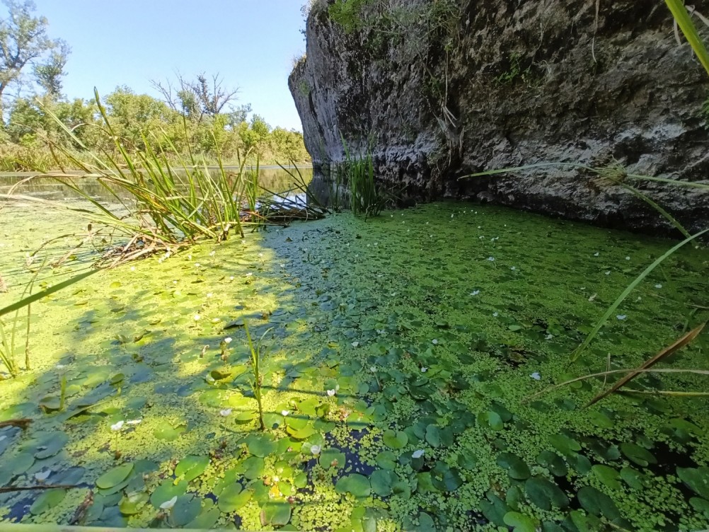 Белая скала на Калитве, водяной и старая гребля