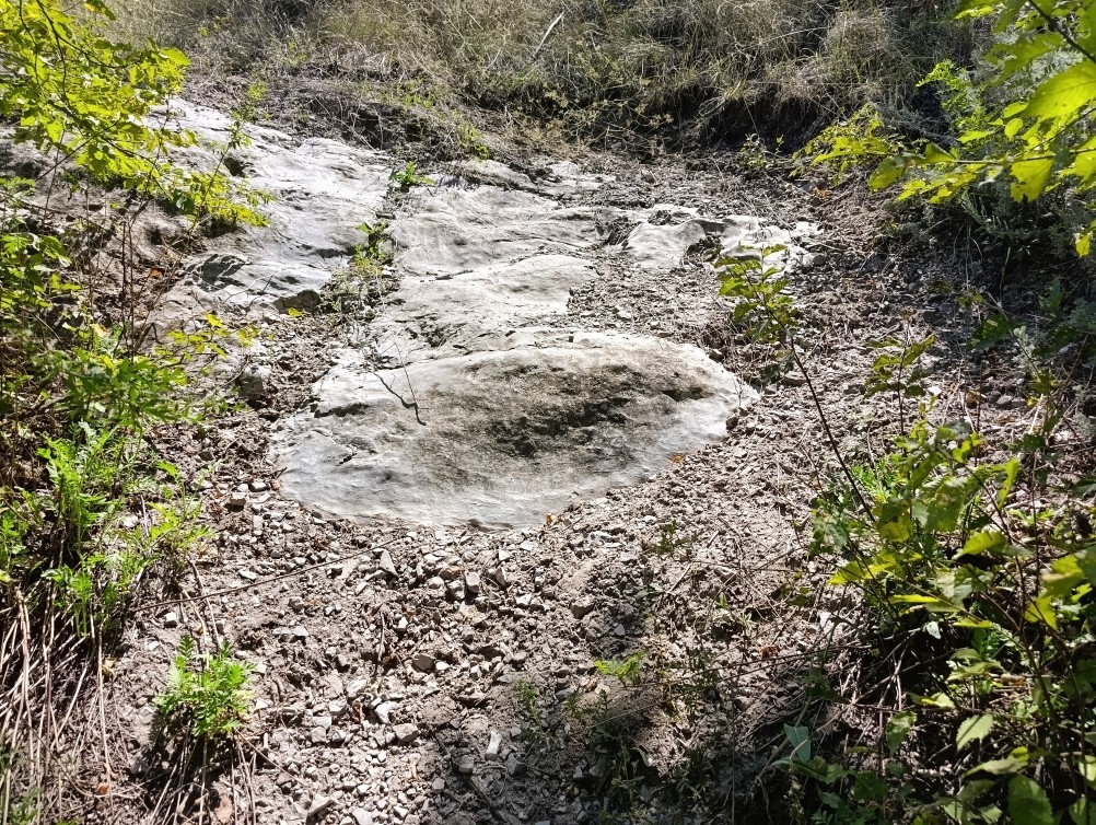 Белая скала на Калитве, водяной и старая гребля