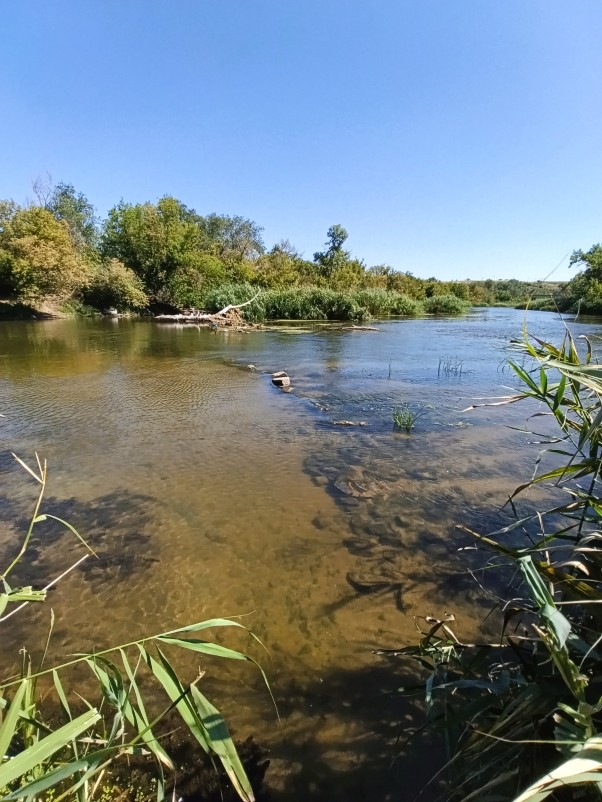 Белая скала на Калитве, водяной и старая гребля
