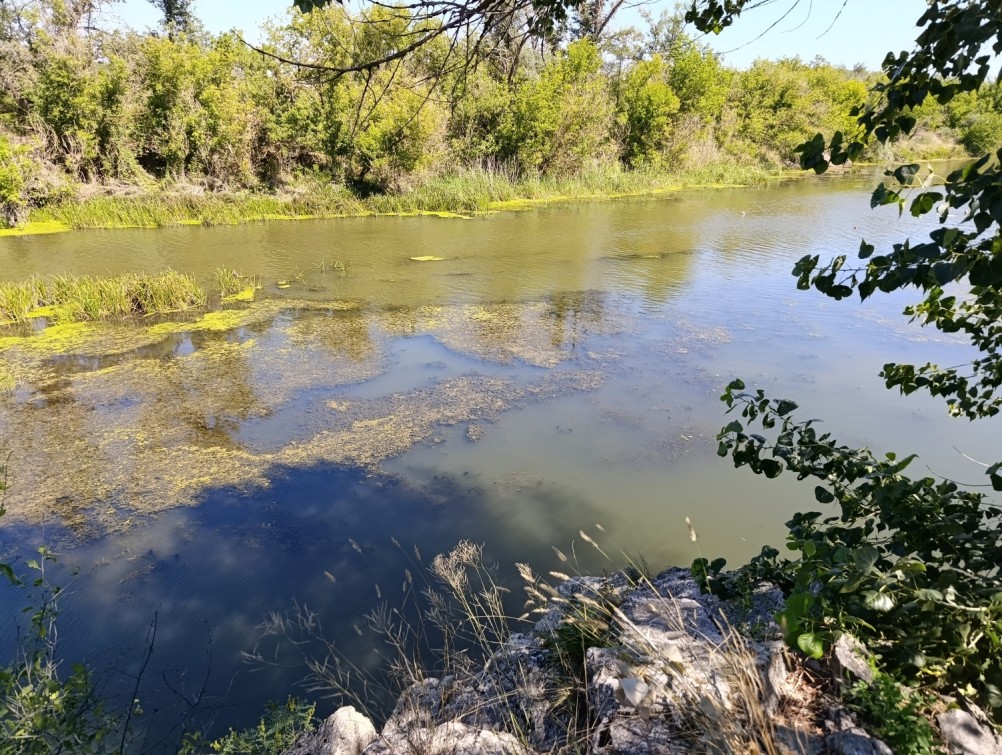 Белая скала на Калитве, водяной и старая гребля