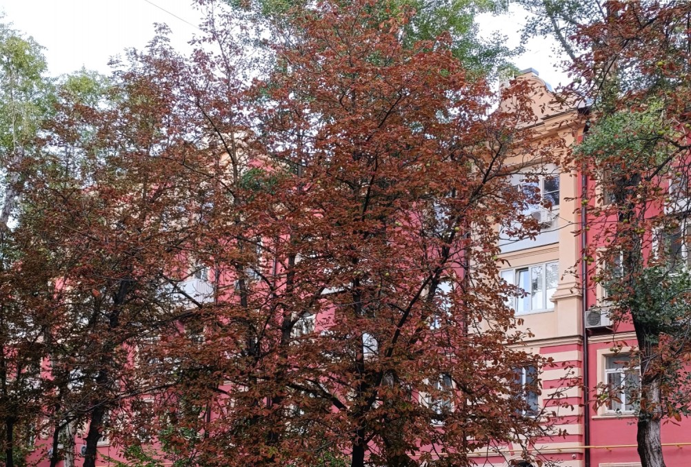 Проспект Мира Сельмаш