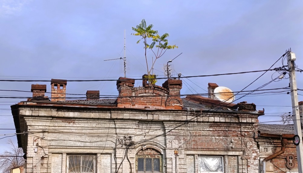 Нахичевань, старый дом