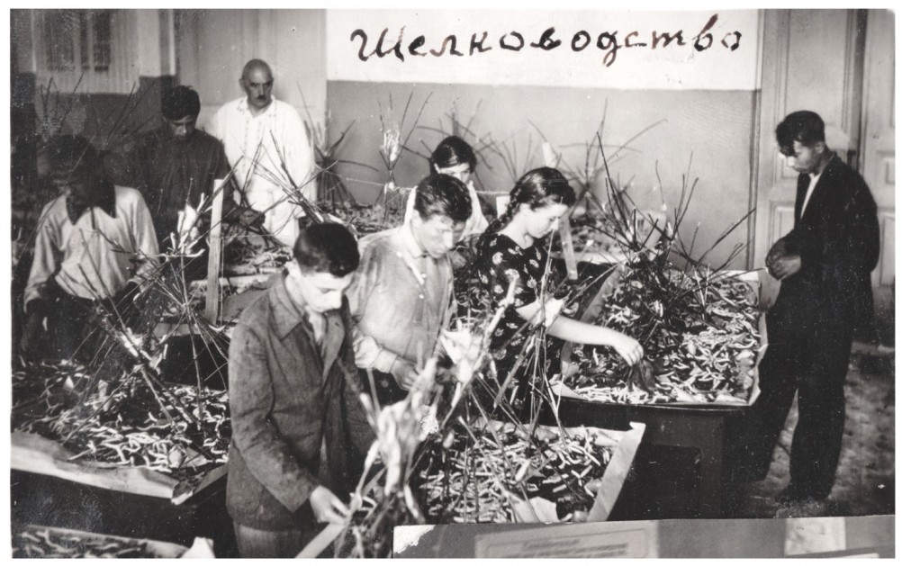 Карсаевский Михаил Фёдорович, урок Шеловодства