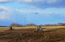 весна трактор степь чайки