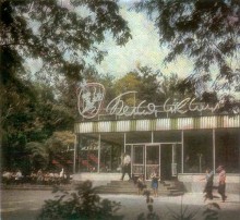 Кафе БЕЛАЯ АКАЦИЯ 1