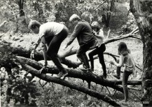 На маршруте 8-В