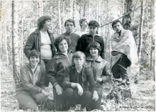 Осеннее утро в берёзовой роще