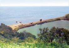 Фото Александр Дунец