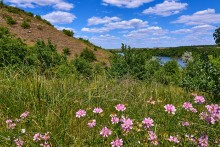 На следующее утро выдвигаюсь к Донцу.