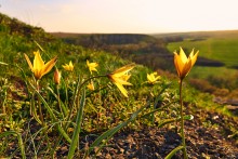 Зайцевские скалы