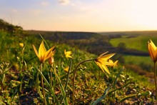 Зайцевские скалы