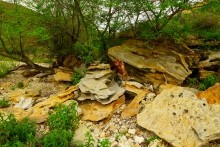 Хазары, Хазарский каганат, Саркел, Правобережное городище, Цимлянское водохранилище