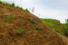 Вокзал, Донецкий кряж, железная дорога, ласточка, гнездо