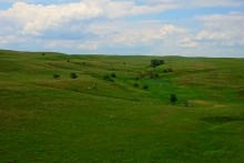 Вокзал, Донецкий кряж, железная дорога, ласточка, гнездо