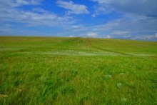 Вокзал, Донецкий кряж, железная дорога, ласточка, гнездо