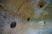 Вокзал, Донецкий кряж, железная дорога, ласточка, гнездо