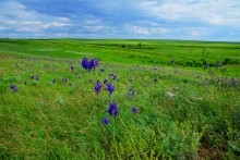 Вокзал, Донецкий кряж, железная дорога, ласточка, гнездо