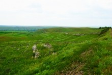Вокзал, Донецкий кряж, железная дорога, ласточка, гнездо