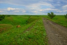 Вокзал, Донецкий кряж, железная дорога, ласточка, гнездо