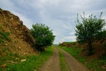Вокзал, Донецкий кряж, железная дорога, ласточка, гнездо