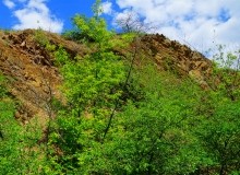 Памятник природы "Обнажение горных пород", Каменно-угольный период, Железная дорога Лихая - Изварино