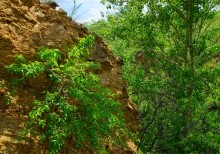 Памятник природы "Обнажение горных пород", Каменно-угольный период, Железная дорога Лихая - Изварино