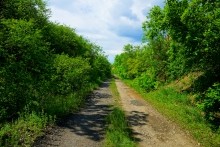 Памятник природы "Обнажение горных пород", Каменно-угольный период, Железная дорога Лихая - Изварино