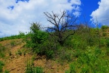 Памятник природы "Обнажение горных пород", Каменно-угольный период, Железная дорога Лихая - Изварино