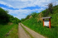 Памятник природы "Обнажение горных пород", Каменно-угольный период, Железная дорога Лихая - Изварино