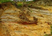 Песчанная радуга цимлянских берегов, Древние берега Цимлы, Цимлянские обрывы