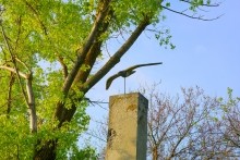 Песчанная радуга цимлянских берегов, Древние берега Цимлы, Цимлянские обрывы