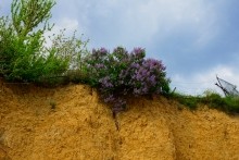 Песчанная радуга цимлянских берегов, Древние берега Цимлы, Цимлянские обрывы