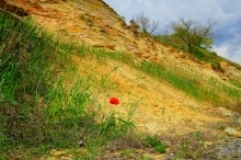 Песчанная радуга цимлянских берегов, Древние берега Цимлы, Цимлянские обрывы