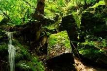 Северский Дрнец, таинственный водопад, мельница, древние каменные блоки