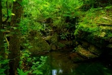 Северский Дрнец, таинственный водопад, мельница, озеро среди скал