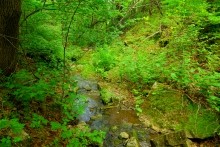Северский Дрнец, таинственный водопад, мельница, каменный ручей