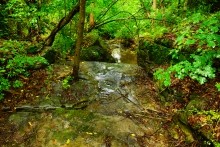 Северский Дрнец, таинственный водопад, мельница, ручей на камнях