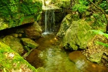 Северский Дрнец, таинственный водопад, мельница, озера в каменный балке