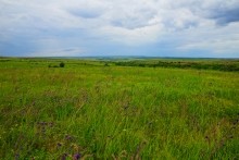 Верхнесазонов, исчезнувший хутор, долина камней, развалины исчезнувшего хутора Верхнесазонов