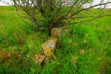 Верхнесазонов, исчезнувший хутор, долина камней, развалины исчезнувшего хутора Верхнесазонов