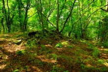 Верхнесазонов, исчезнувший хутор, долина камней, развалины исчезнувшего хутора Верхнесазонов