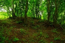 Верхнесазонов, исчезнувший хутор, долина камней, развалины исчезнувшего хутора Верхнесазонов