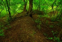 Верхнесазонов, исчезнувший хутор, долина камней, развалины исчезнувшего хутора Верхнесазонов