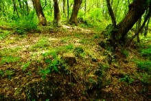 Верхнесазонов, исчезнувший хутор, долина камней, развалины исчезнувшего хутора Верхнесазонов