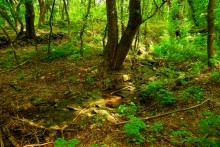 Верхнесазонов, исчезнувший хутор, долина камней, развалины исчезнувшего хутора Верхнесазонов