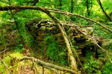 Верхнесазонов, исчезнувший хутор, долина камней, развалины исчезнувшего хутора Верхнесазонов