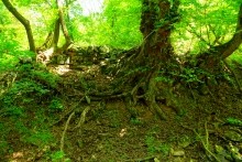 Верхнесазонов, исчезнувший хутор, долина камней, развалины исчезнувшего хутора Верхнесазонов