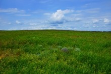 Верхнесазонов, исчезнувший хутор, долина камней, развалины исчезнувшего хутора Верхнесазонов