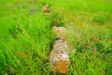 Верхнесазонов, исчезнувший хутор, долина камней, развалины исчезнувшего хутора Верхнесазонов