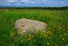 Верхнесазонов, исчезнувший хутор, долина камней, развалины исчезнувшего хутора Верхнесазонов